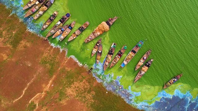 Aerial view of Ben Nom fishing village, a brilliant, fresh, green image of the green algae season on Tri An lake, with many traditional fishing boats anchored. Location in Dong Nai province, Vietnam