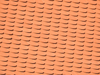 Naklejka premium Oblique old orange roof tiles 