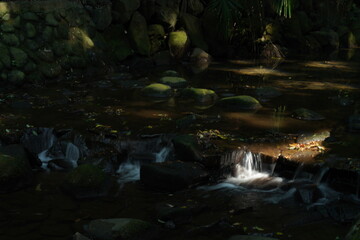 waterfall in the forest