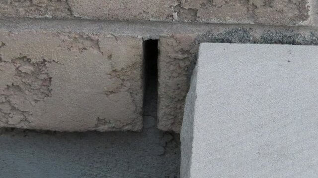 Wasp entering nest in crack between bricks of home / building
