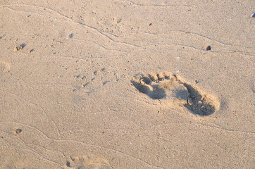 Footprint in the wet sea sand close up