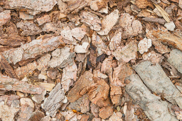 Bark mulch background