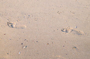 Footprints in the wet sea sand close up