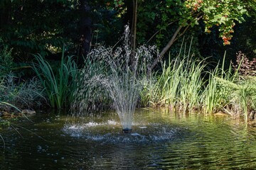 Garden pond with cascading fountain in evergreen garden landscape. Evergreens and aquatic plants along shore. Mirror clear water. Close-up. Atmosphere of calm relaxation and love.