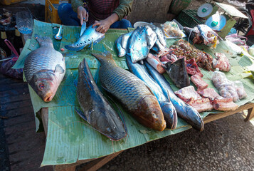 ラオス、ルアンパバーンの市場の魚