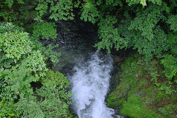 夏の渓流