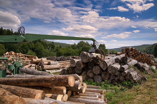 scierie dans les Vosges 