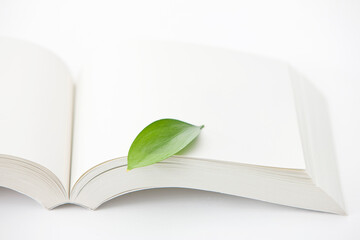 leaf on book