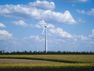 field and wind farm