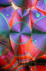 Vitamin C crystal under the microscope