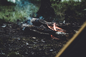 fire in the woods