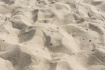 A close up picture of a sandy beach.