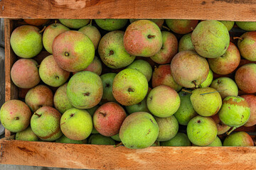 green pears