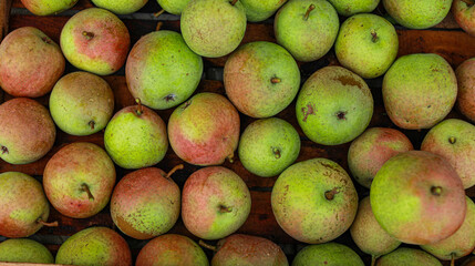 pear background