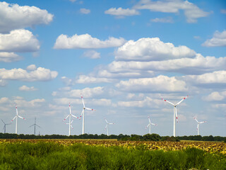 the wind farm