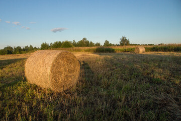Hay. Round bale on the left side of the frame. Harvesting.