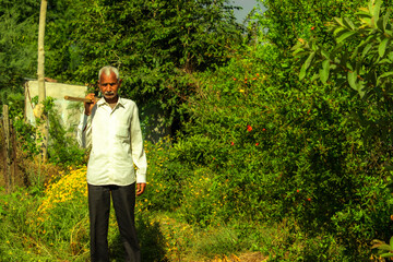 A indian farmer walking in a green garden with a shovel