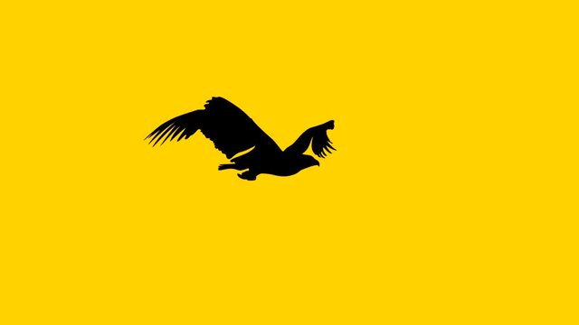 Silhouette of the flying eagle, animation on the yellow background