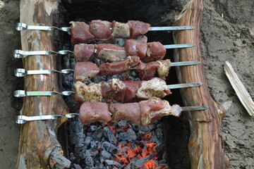 
Raw meat for barbecue on skewers.