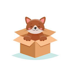 Adopt a pet - cute cat in a box, isolated on white background