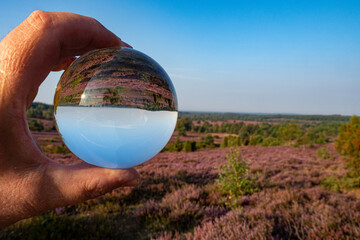 Glaskugrel in der Lüneburger Heide