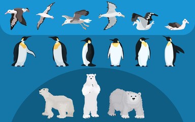 selection of northern animals birds and bears flat