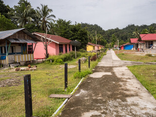 Indonesia, Bird's Head Penisula