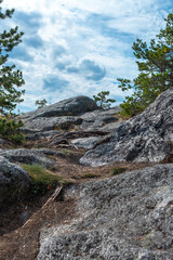 Fototapeta na wymiar Texture of roots and stones on rocky island on Ladoga lake in Karelia shot from above under blue cloudy sky ang green pine trees