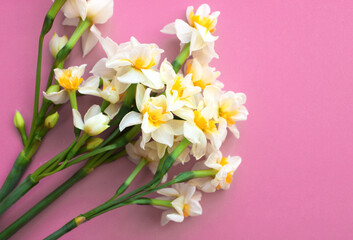 bouquet of fragrant spring flowers, white narcissus
