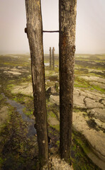 Old wooden sea defence posts with a sea fret in the background