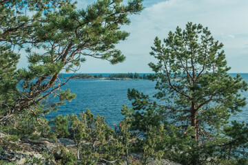 Obraz na płótnie Canvas View on a island through pines on Ladoga lake in Karelia shot on day under blue cloudy sky