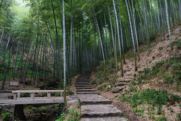 Obraz premium Summer scenery in Yixing Zhuhai Scenic Spot, Jiangsu Province, China