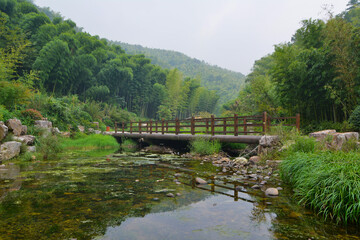 Fototapeta premium Summer scenery in Yixing Zhuhai Scenic Spot, Jiangsu Province, China