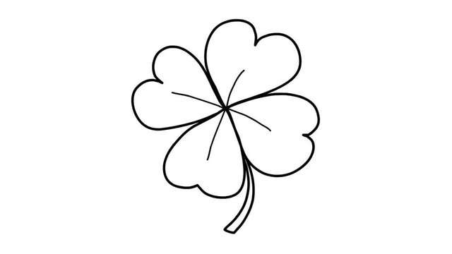 Lucky four-leave clover whiteboard animation HD footage