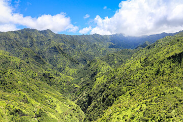 Fototapeta premium View from a helicopter on the mountains of the Kauai Island, covered with forest against the blue sky and white clouds.