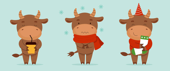 Vector set of three Christmas bulls. Chinese new year symbol 2021. Character with coffee or cocoa, with christmas sock, frozen. Flat cartoon vector illustration