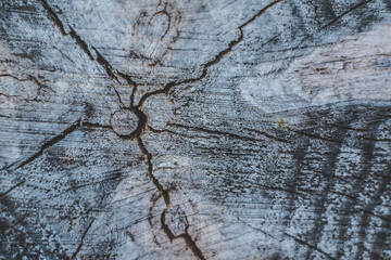 old wood texture