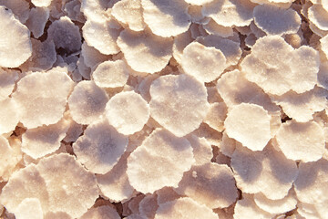 Round plates of salt on the shores of the salty lake. Large paln. salt texture.