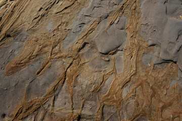 rock fragment texture background ...