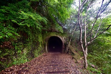 兵庫の枕木のある廃線とトンネル