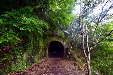 兵庫の枕木のある廃線とトンネル