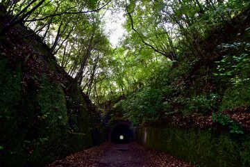 兵庫の枕木のある廃線とトンネル