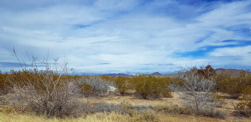 desert landscape with blue sky