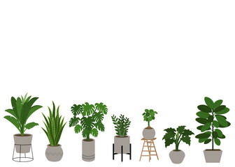 A set of Air Cleaning Plants in pots isolated on white background. Concept about house plants, gardening, hobbies and etc. 