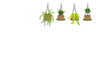 A set of Air Cleaning Plants in pots isolated on white background. Concept about house plants, gardening, hobbies and etc. 