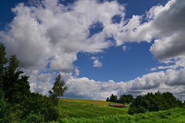 8月の美瑛の夏雲のある風景