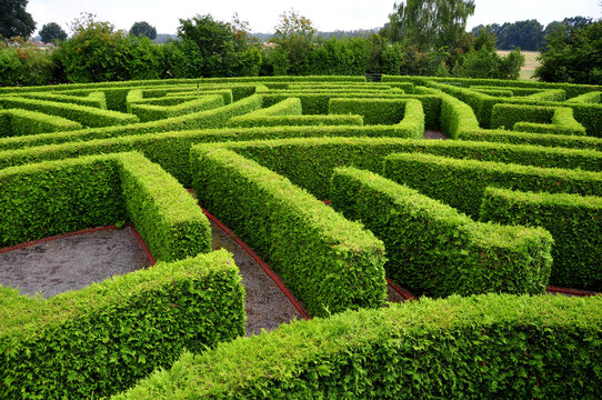 Das Heckenlabyrinth, der Weg ist das Ziel, finde den richtigen Weg im Irrgarten, ein Rätsel, ein Heckenystem aus Wegen, Linien zur Neuorientierung.