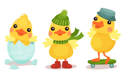 Funny Yellow Duckling Hatching, Skateboarding and Wearing Warm Hat Vector Set