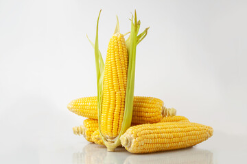 Yellow fresh corn on white background