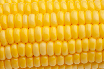 Yellow fresh corn texture